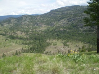 Top of intermediate peak looking north east, Eagle Bluff Trail 2013-05.